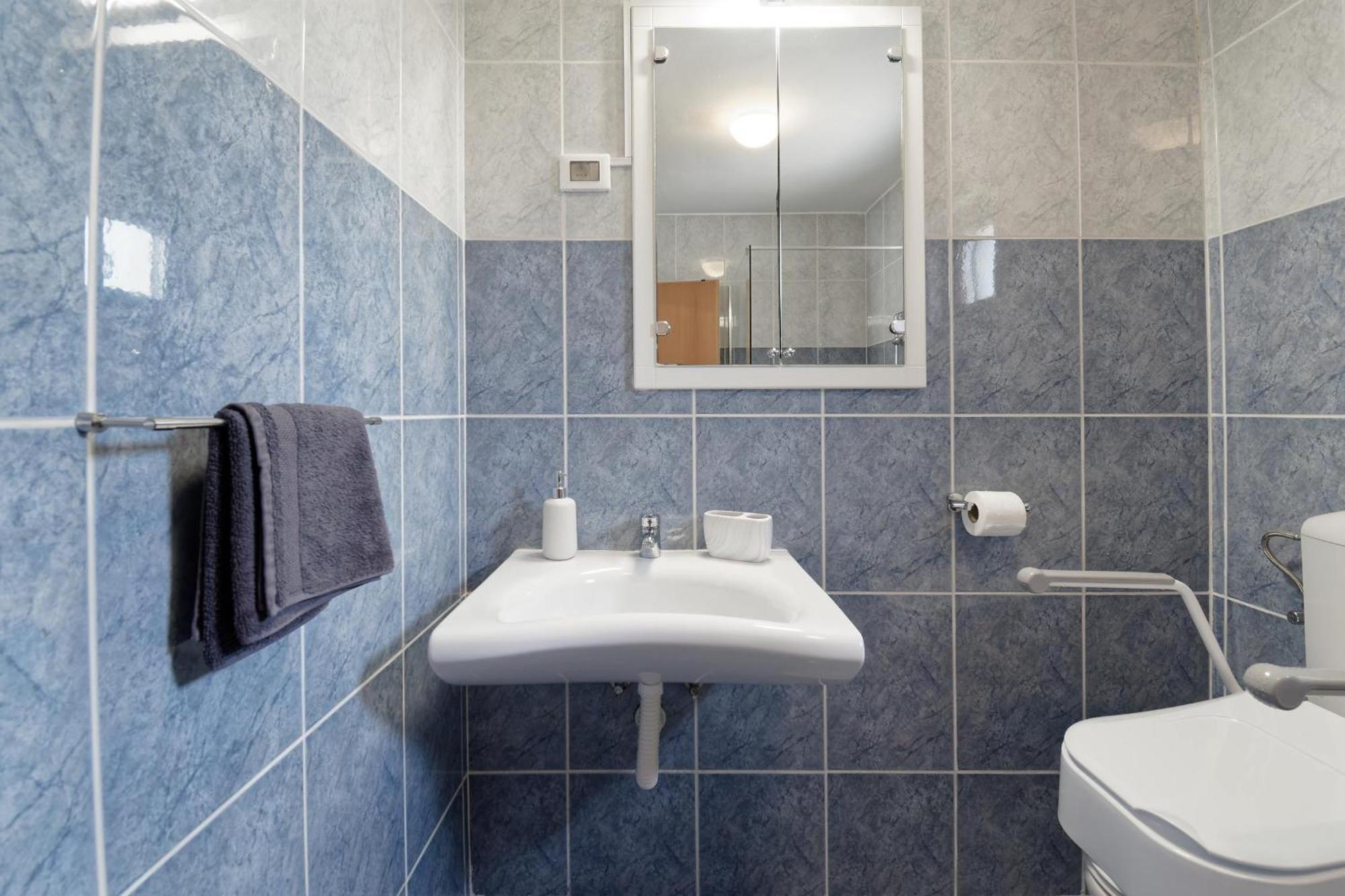 Apartment Larissa By Rent Istria Visnjan Bagian luar foto